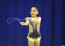 Azerbaijani gymnast reaches great success during year