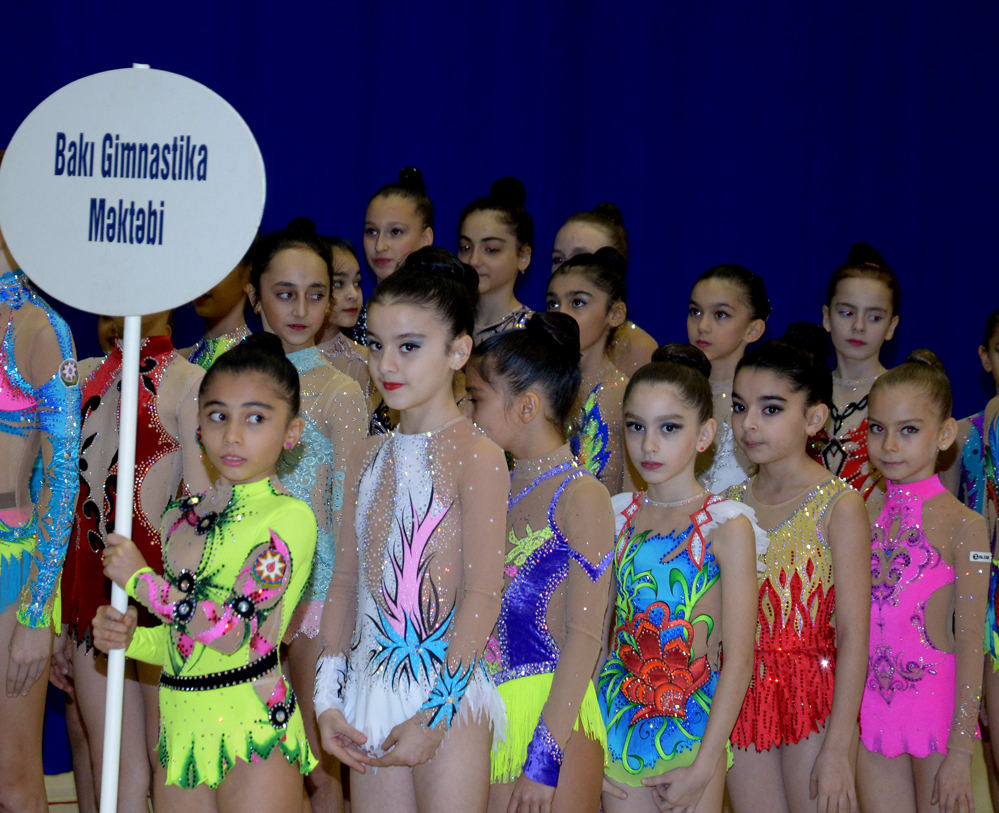 Azerbaijani gymnast reaches great success during year