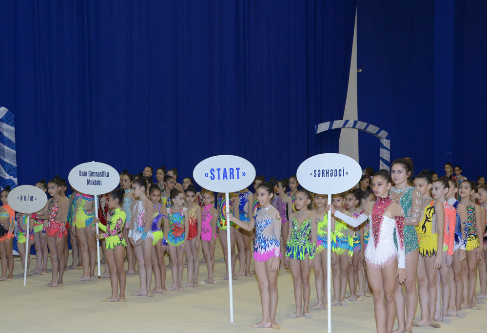 Federasiya: Azərbaycan gimnastikası il ərzində böyük uğurlar qazanıb (FOTO)