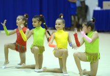 Bədii gimnastika üzrə XXII Bakı çempionatı və birinciliyi başa çatıb (FOTO)