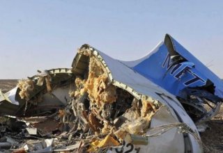 Rusya ve Mısır A321 uçağına saldırıları sorumlularının yakalanması için anlaştı