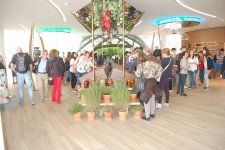 "Milan Expo"da Azərbaycan pavilyonunu 3 milyondan çox insan ziyarət edib (FOTO+VİDEO) - Gallery Thumbnail