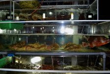 Впервые во Вьетнаме: экзотические блюда и дешевый фаст-фуд (ФОТО, часть 6)