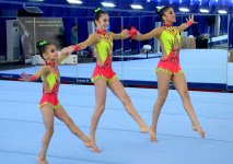 В Баку стартовало Объединенное первенство Азербайджана по спортивной гимнастике и акробатике - Gallery Thumbnail
