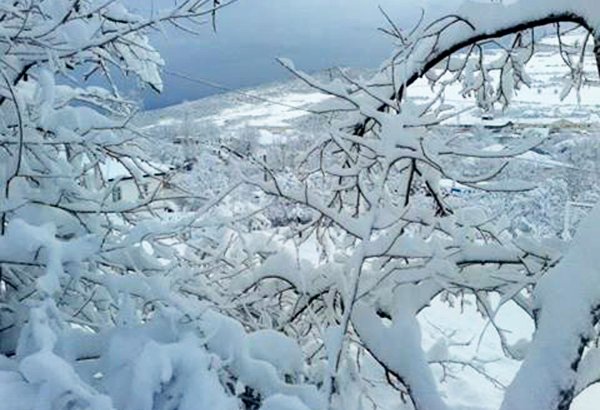 В некоторых районах Азербайджана выпал снег - фактическая погода