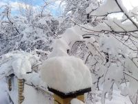 Azərbaycanın şimalında yağan qarın hündürlüyü yarım metri keçib (FOTO)