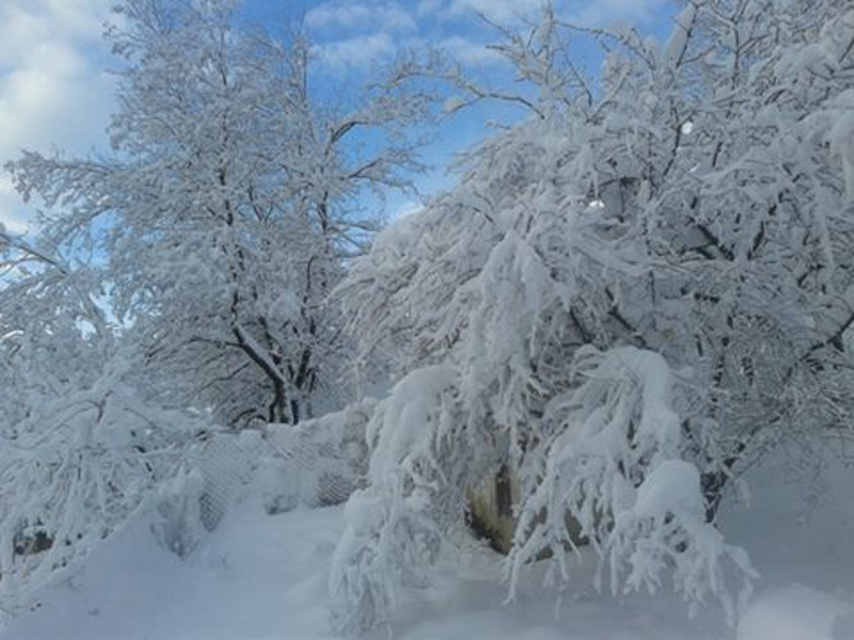 В Ярдымлы толщина снежного покрова составила 4 см
