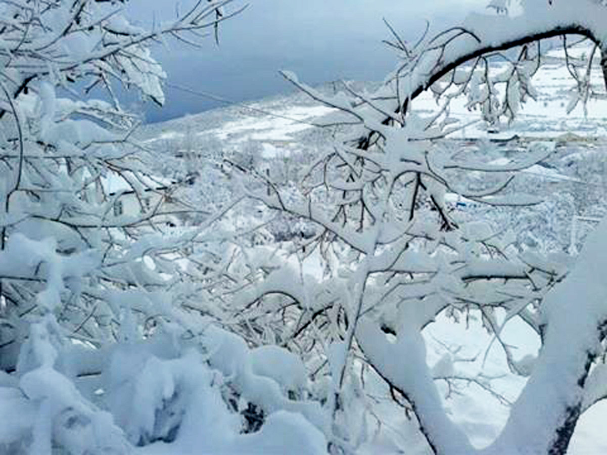 В некоторых районах Азербайджана выпал снег - фактическая погода