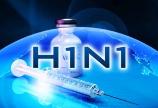 H1N1 influenza kills 22 people in Iran