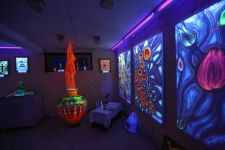 Azərbaycanda "Farhouse" neon ev muzeyi açıldı (FOTO)