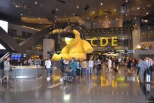 Впервые во Вьетнаме: Медведь в аэропорту Дохи за $6,5 млн (ФОТО, часть 11)