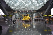 Впервые во Вьетнаме: Медведь в аэропорту Дохи за $6,5 млн (ФОТО, часть 11) - Gallery Thumbnail