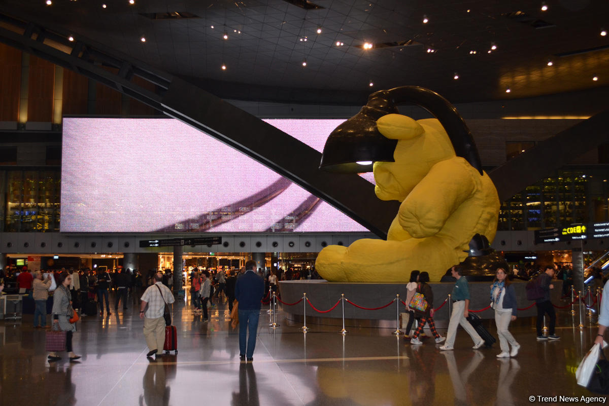 Впервые во Вьетнаме: Медведь в аэропорту Дохи за $6,5 млн (ФОТО, часть 11) - Gallery Image