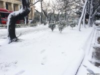 Bakının qarlı günləri (FOTO)