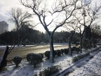 Bakının qarlı günləri (FOTO)