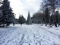 Bakının qarlı günləri (FOTO)