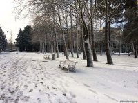 Бакинский снег – шансон (ФОТО,АУДИО)