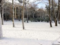 Бакинский снег – шансон (ФОТО,АУДИО)