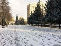 Bakının qarlı günləri (FOTO)