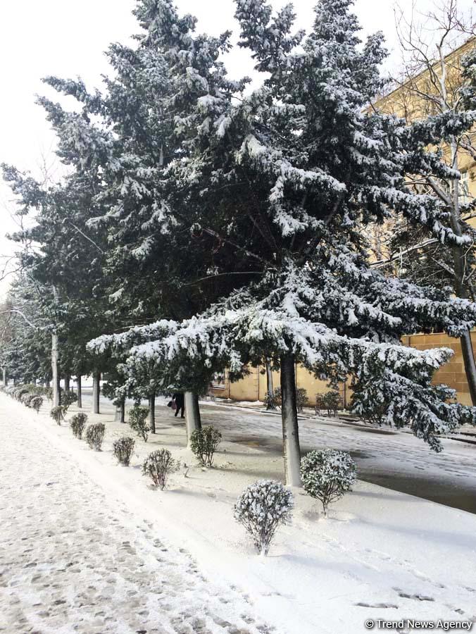 Завтра в Баку ожидается снег