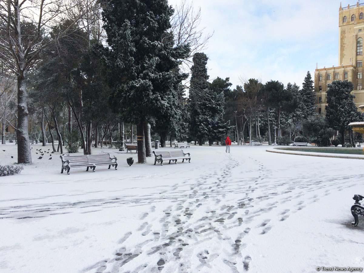 Bakının qarlı günləri (FOTO)