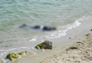 У берегов Турции обнаружены тела сирийских мигрантов
