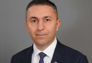 Усилия Президента Азербайджан играют важную роль в формировании новой системы безопасности в мире - депутат