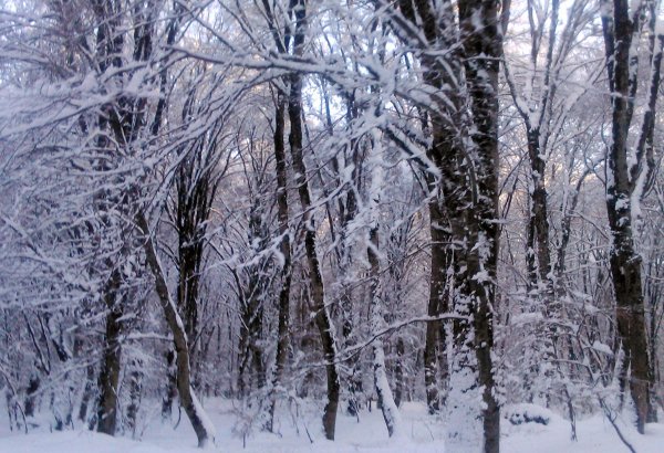 На севере Азербайджана за ночь выпало более 70 см снега