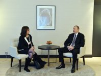 Azerbaycan Cumhurbaşkanı “Microsoft Corporation” şirketi Başkan Yardımcısı ile biraraya geldi (FOTO)