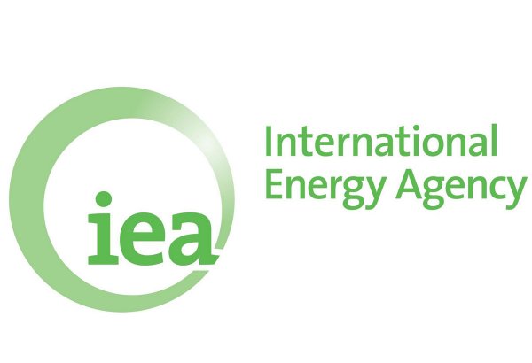 IEA forecasts investment capacity needed for hydrogen production dev't in EU by 2030