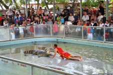 В гостях у Таиланда: Невероятное шоу с крокодилами  в Паттайе (ФОТО)