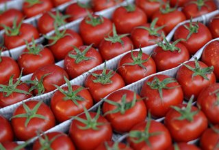 Еще с восьми азербайджанских предприятий разрешили экспортировать помидоры в РФ
