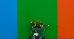 Робот-хамелеон для азербайджанских телезрителей (ФОТО)