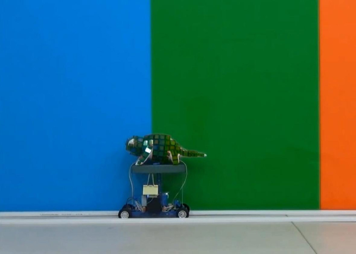 Робот-хамелеон для азербайджанских телезрителей (ФОТО)