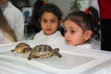 Uşaqlar üçün növbəti ekoloji laboratoriya təlimi təşkil olunub (FOTO)