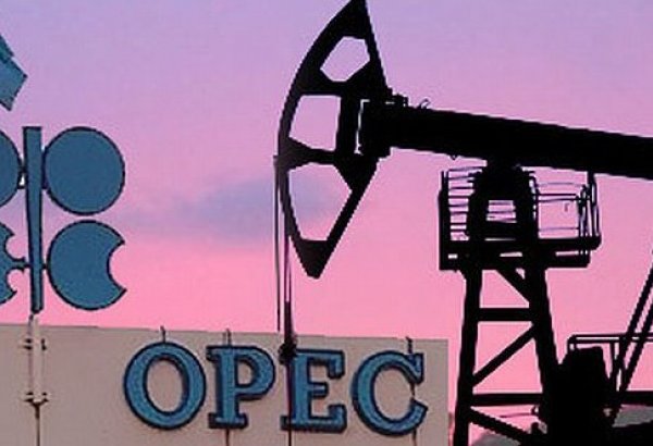 OPEC gələn il Azərbaycanda maye karbohidrogen hasilatının artacağını proqnozlaşdırır