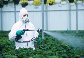 Turkmenistan to purchase pesticides