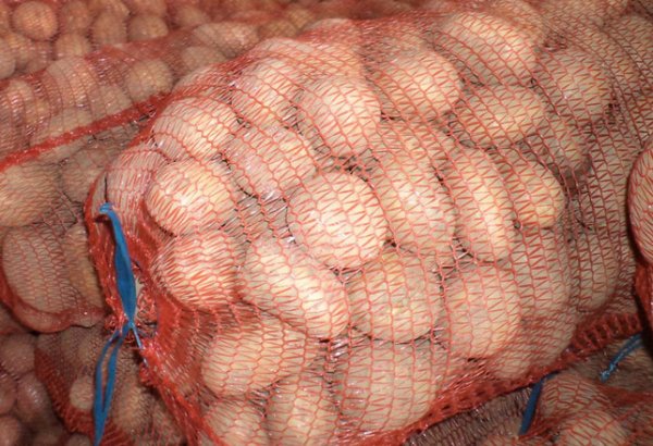 Agency: Azerbaijan returns 400T of potatoes, kiwi to Iran, Georgia