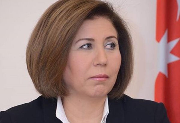 OSCE PA president may visit Azerbaijan in autumn: Muradova