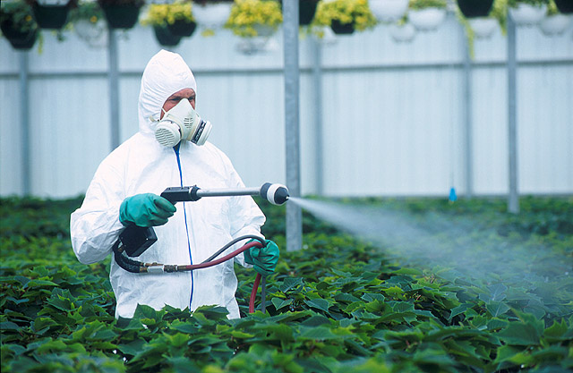 В Азербайджане выявлены поддельные пестициды