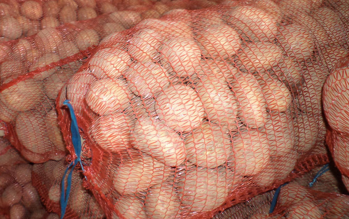 Georgia sees increase in potato exports