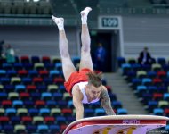 Azərbaycanlı gimnast idman gimnastikası üzrə Dünya Kubokunda finala çıxıb (FOTO)
