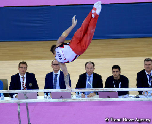 Azerbaijani gymnast Oleg Stepko grabs gold in bars event (PHOTO)