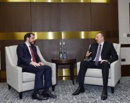 Azerbaycan Cumhurbaşkanı Berat Albayrak'ı kabul etti