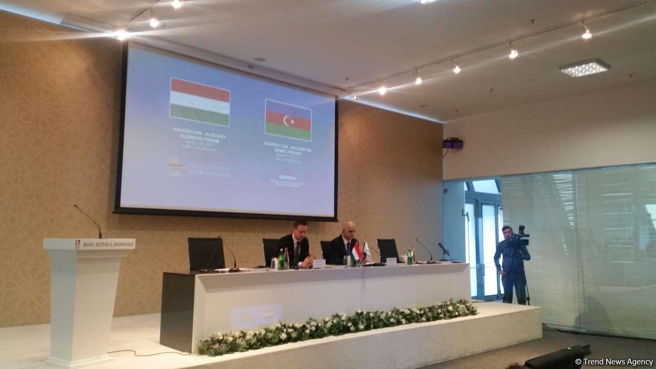 Azerbaijani companies can play mediating role for Hungarian companies in Iran