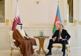 Azerbaycan Cumhurbaşkanı ve Katar Emiri ikili görüşme gerçekleştirdi