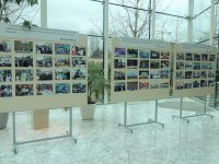 В Международном центре мугама состоялось награждение по случаю 8 марта (ФОТО)