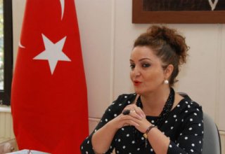 Azərbaycan diasporu beynəlxalq təşkilatlara etiraz bəyanatı ünvanlayıb