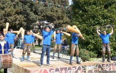 Замминистра культуры и туризма Азербайджана о праздничных мероприятиях Новруза