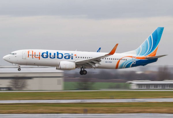 Обратным рейсом Flydubai в Дубай отказались лететь 50 человек